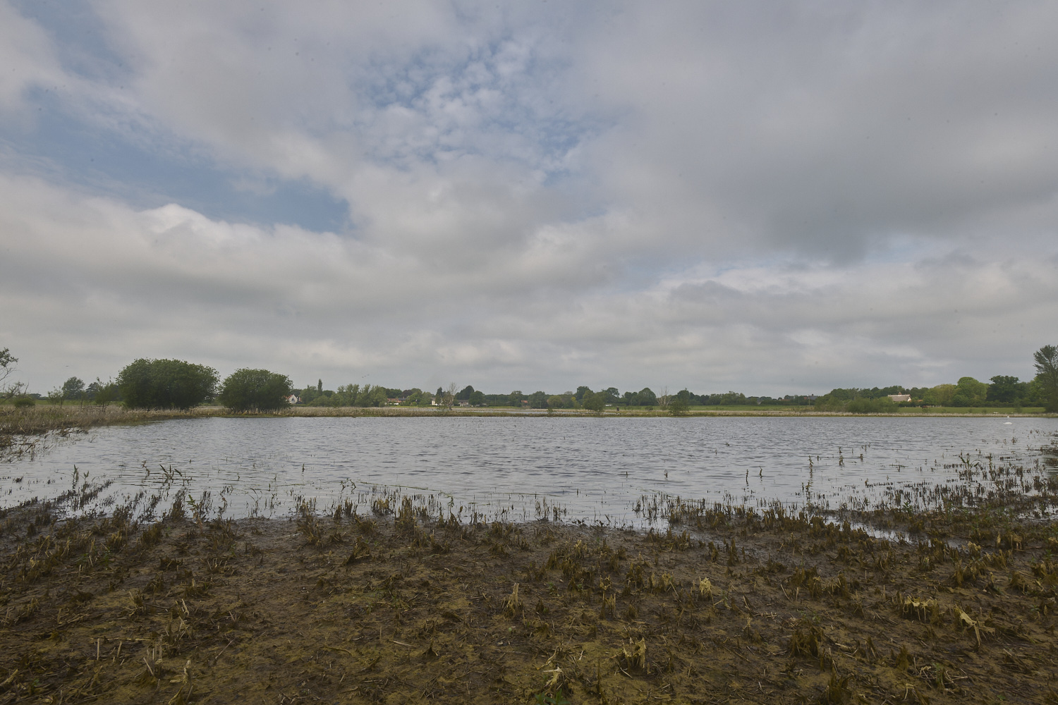 DickleburghMoor180524-1