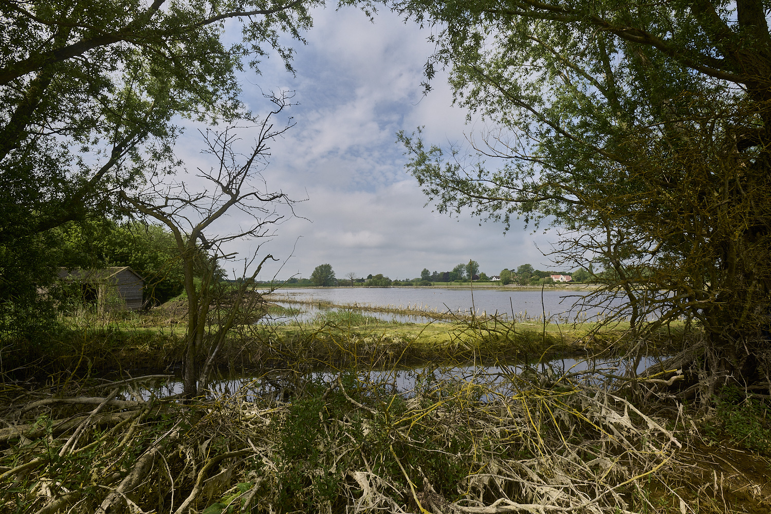 DickleburghMoor180524-6