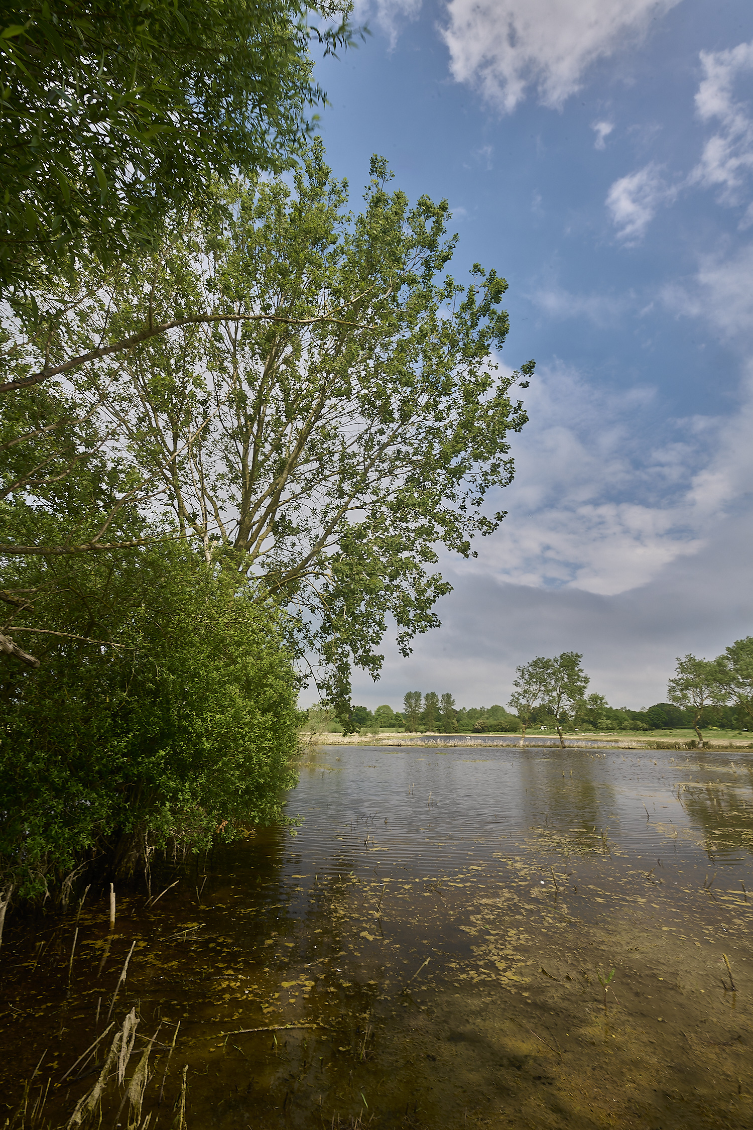 DickleburghMoor180524-7