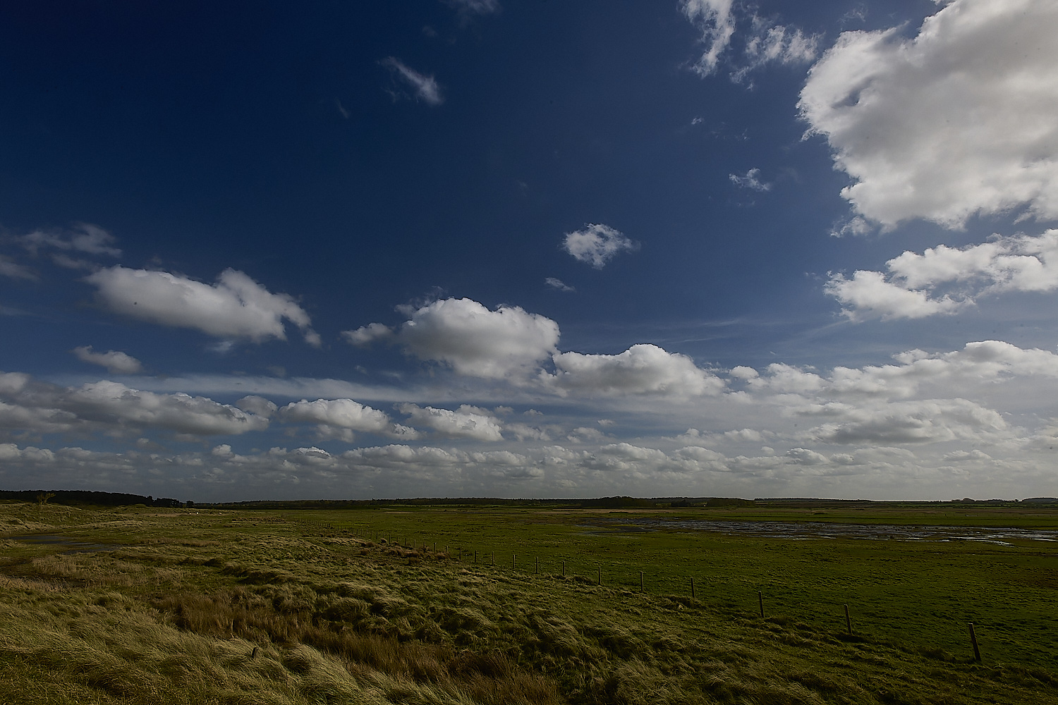 Holkham070424-1-NEF-