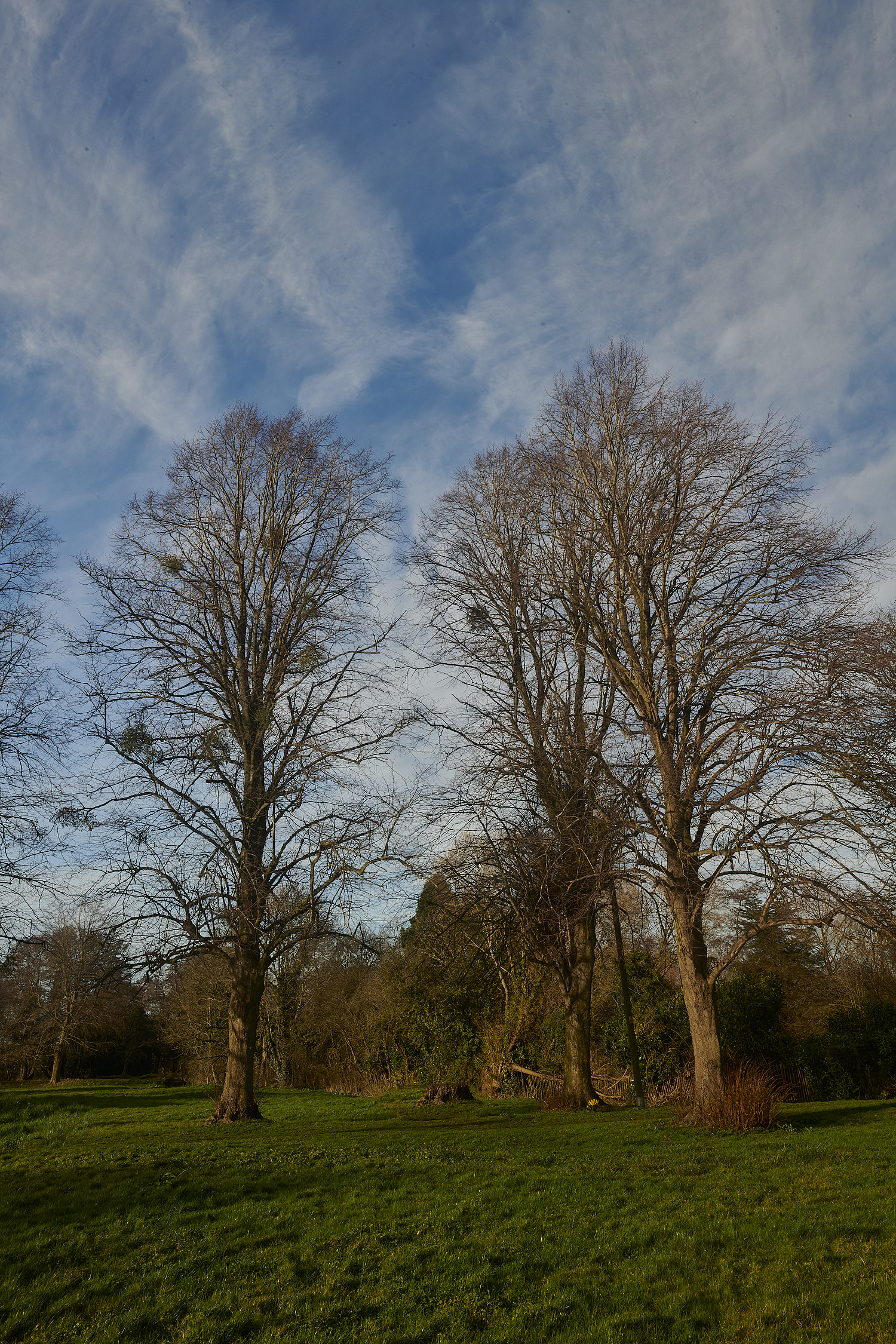 Saxthorpe190224-1 1