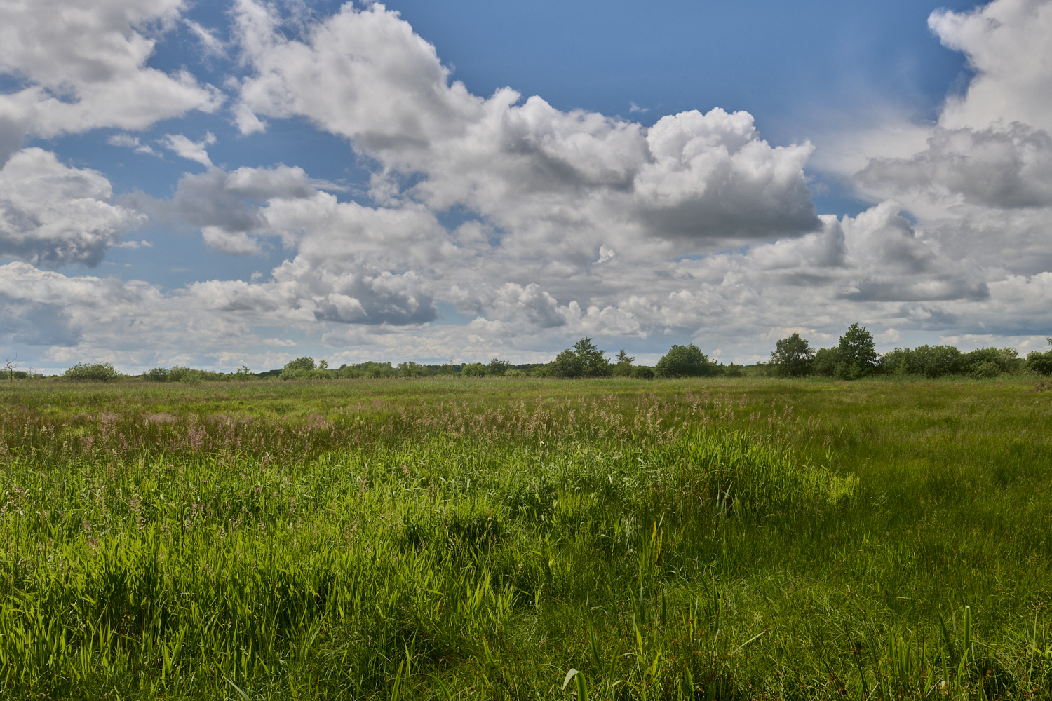 SuttonFen160624-6-NEF-