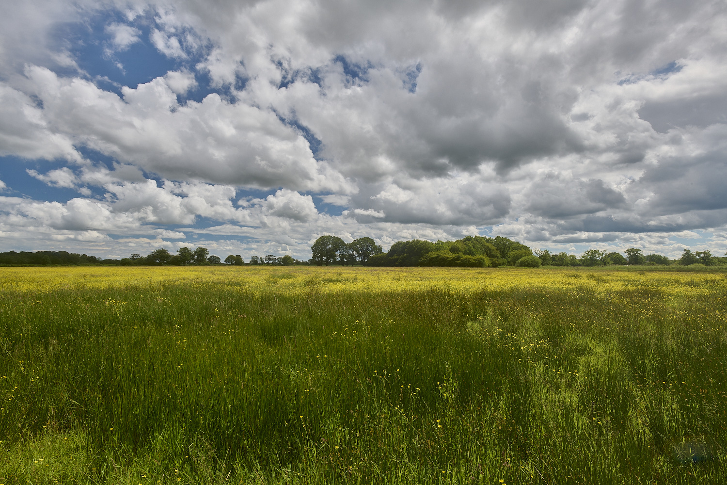 SuttonFen160624-7-NEF-