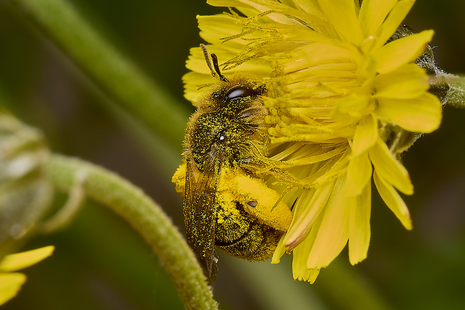 ThorpeMarriotOverpassAhumilis100524-1-NEF-