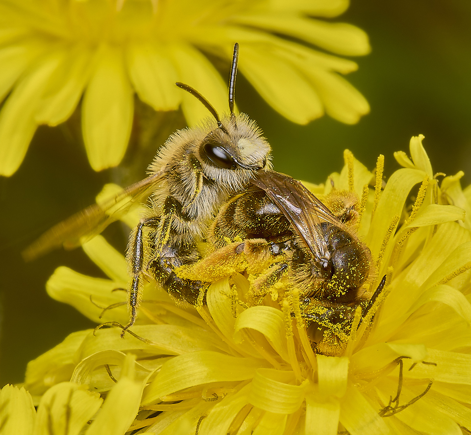 ThorpeMarriotOverpassAhumilis100524-3-NEF-