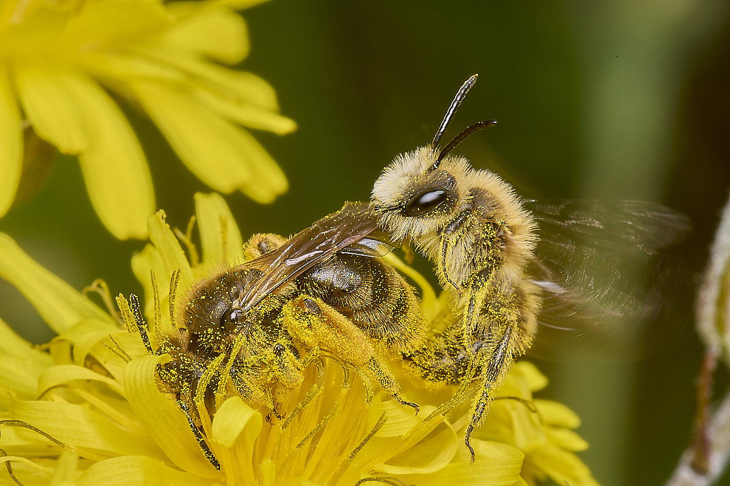 ThorpeMarriotOverpassAhumilis100524-8-NEF-