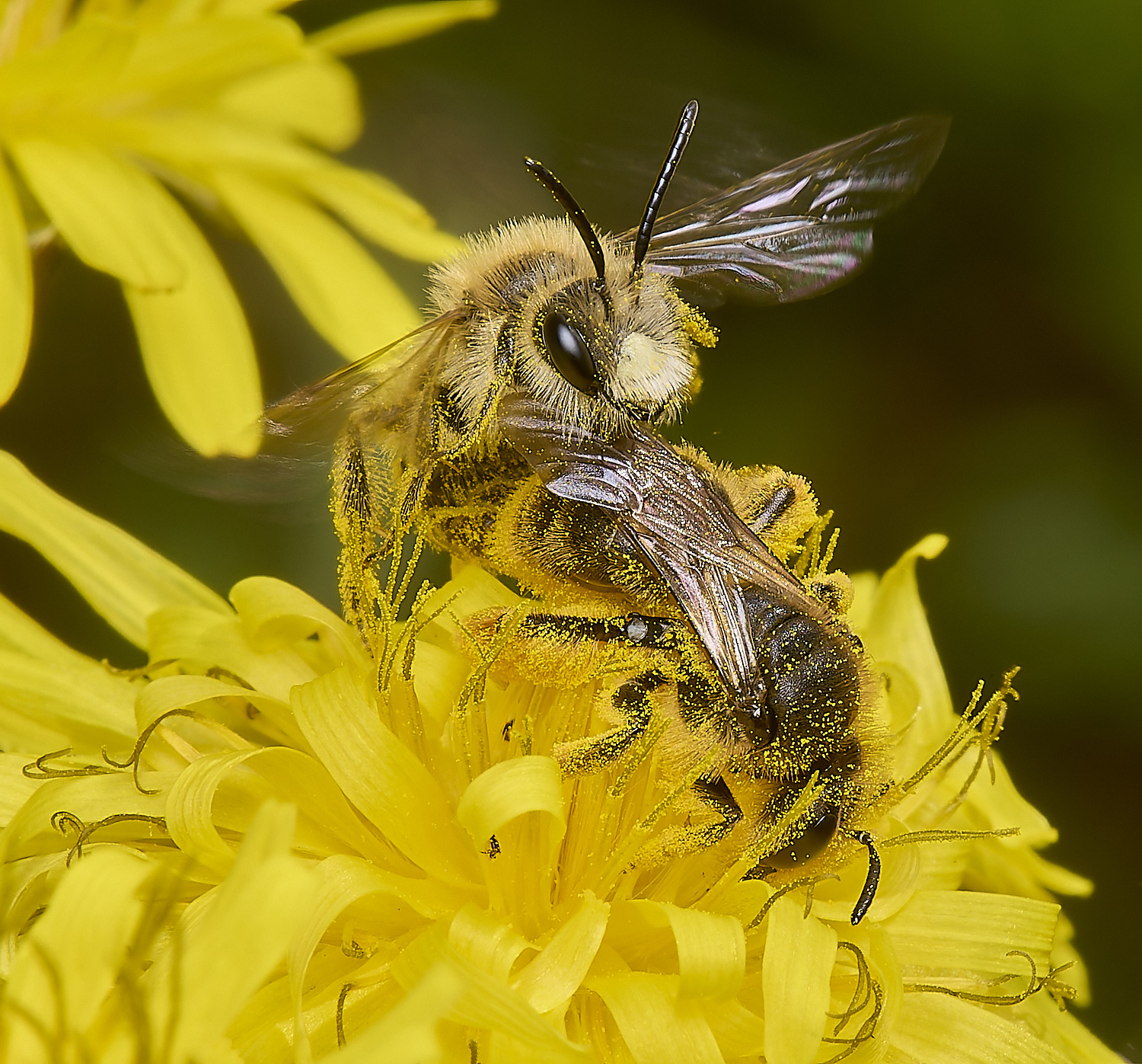 ThorpeMarriotOverpassAhumilis100524-9-NEF-