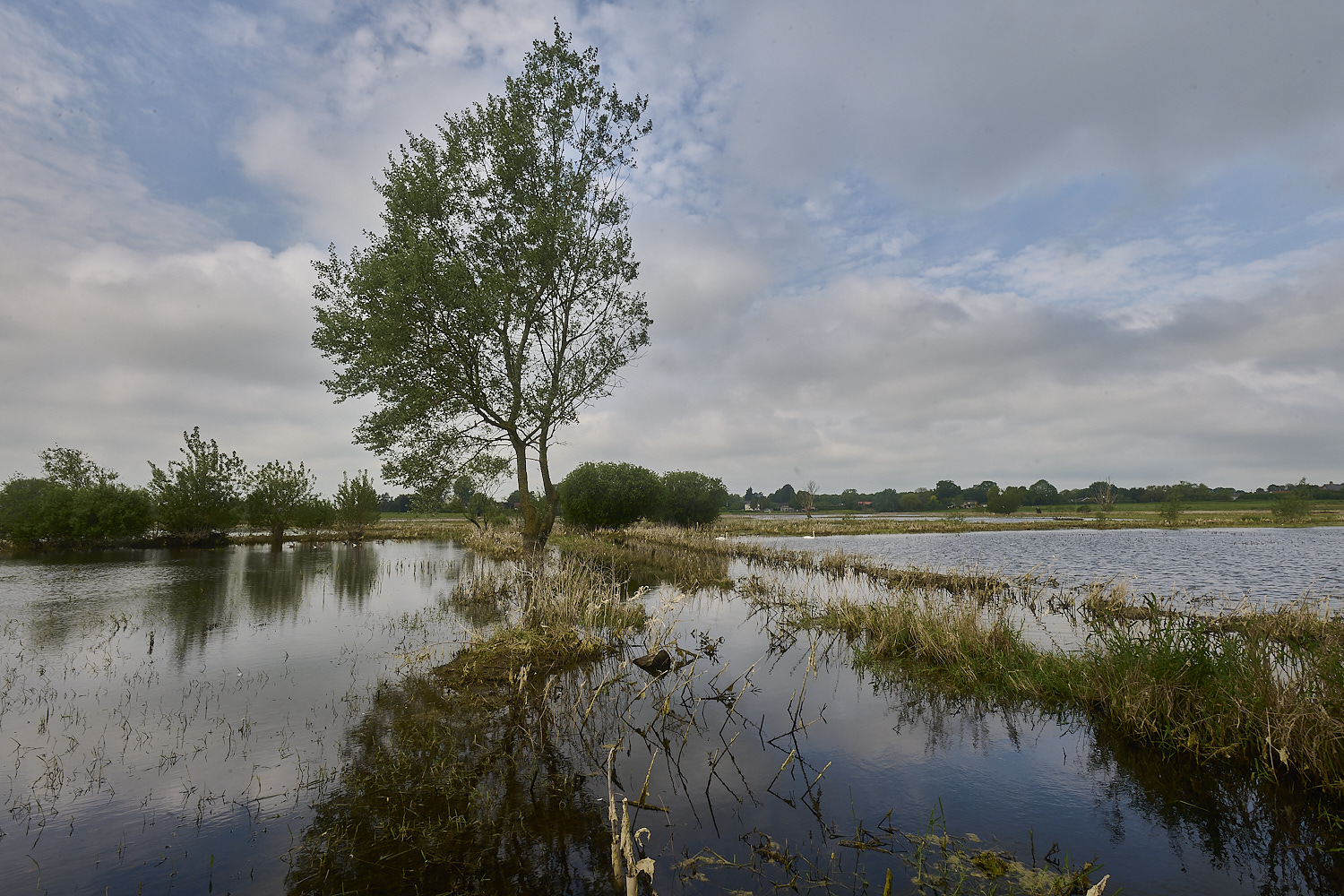 DickleburghMoor180524-3