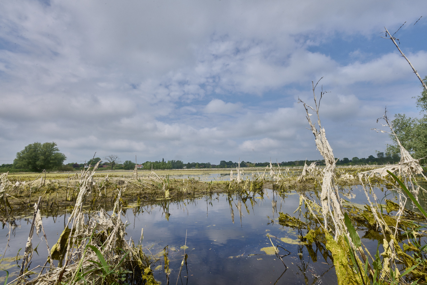 DickleburghMoor180524-8