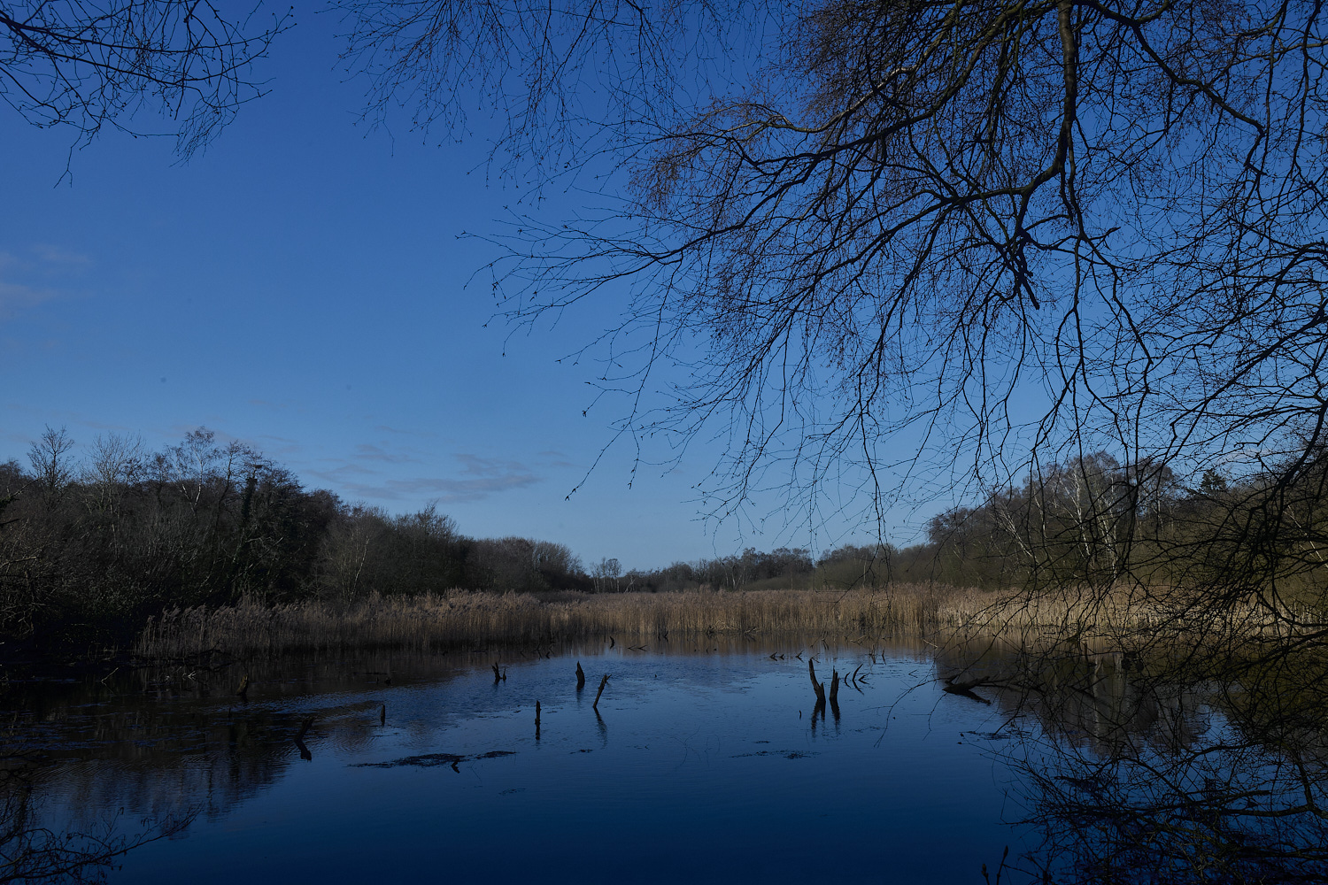 DillingtonLake240324-1