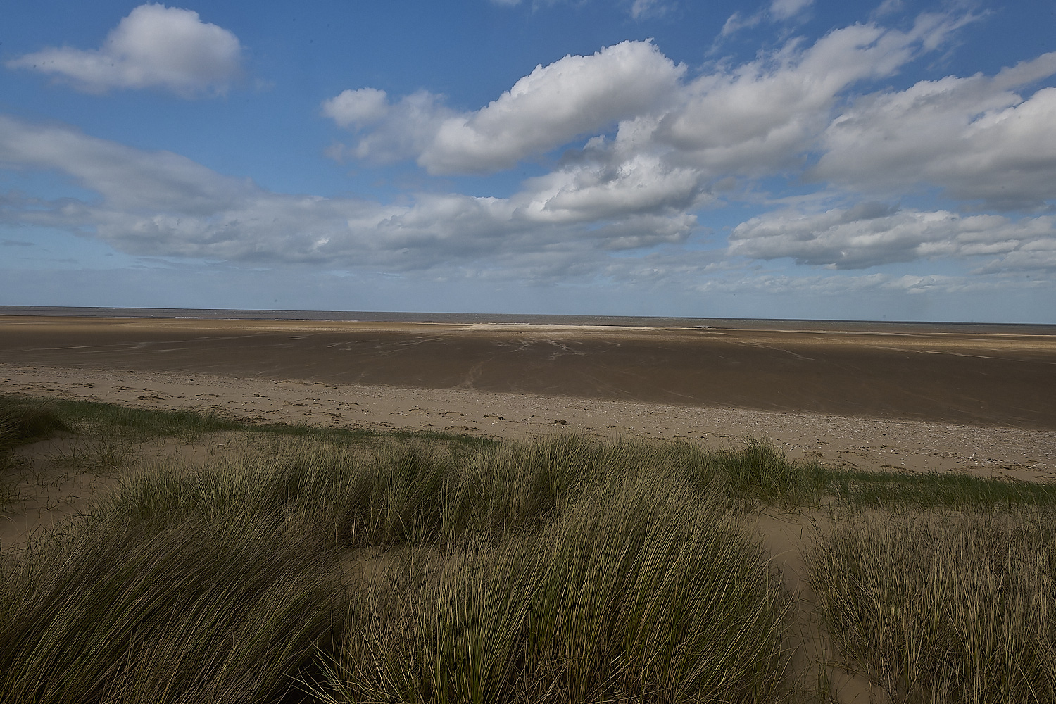 HolkhamDunes070424-4-NEF-