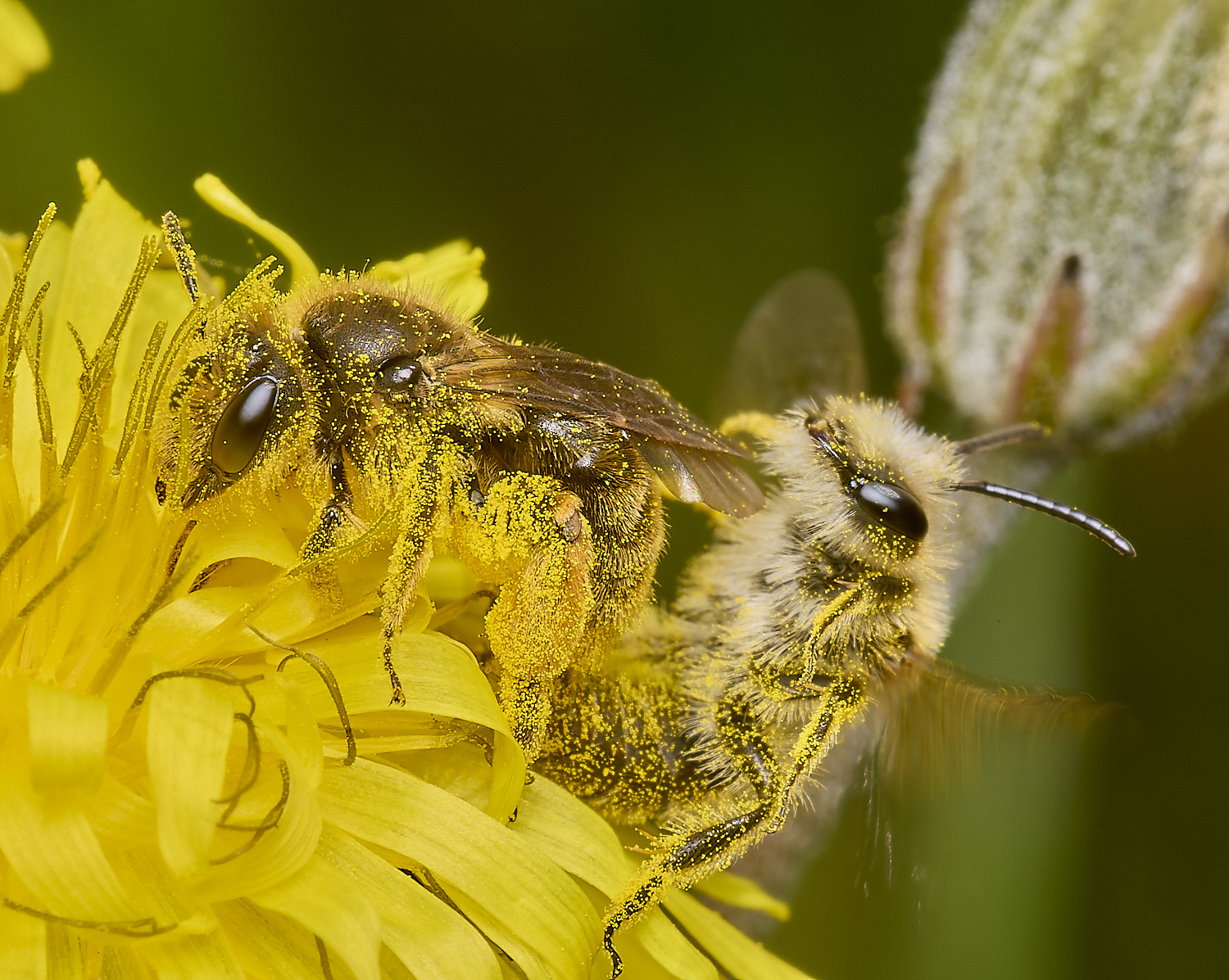 ThorpeMarriotOverpassAhumilis100524-7-NEF-