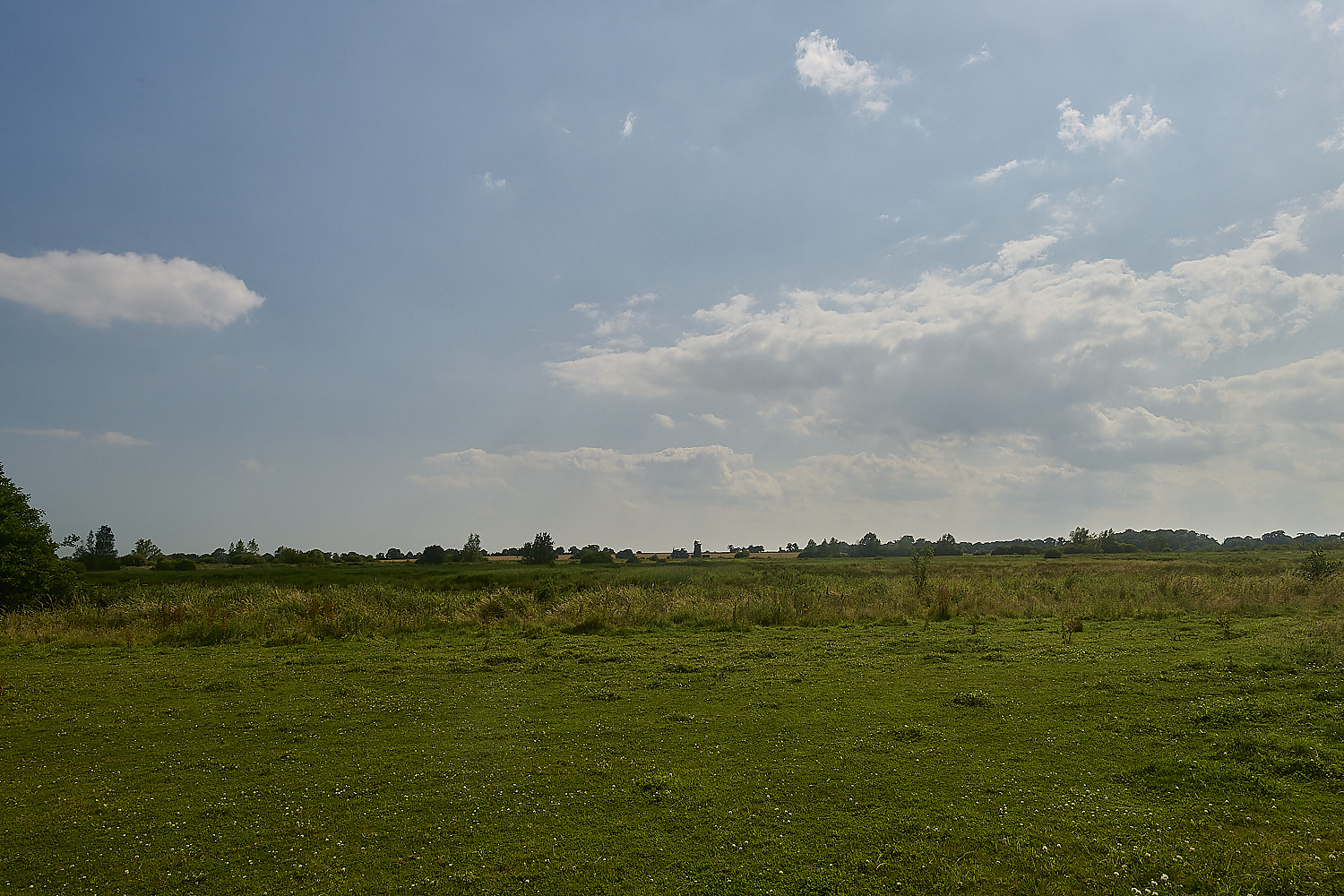 Buttle&#39;sMarsh180724-1