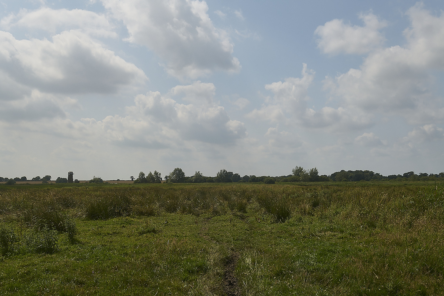 Buttle&#39;sMarsh180724-4