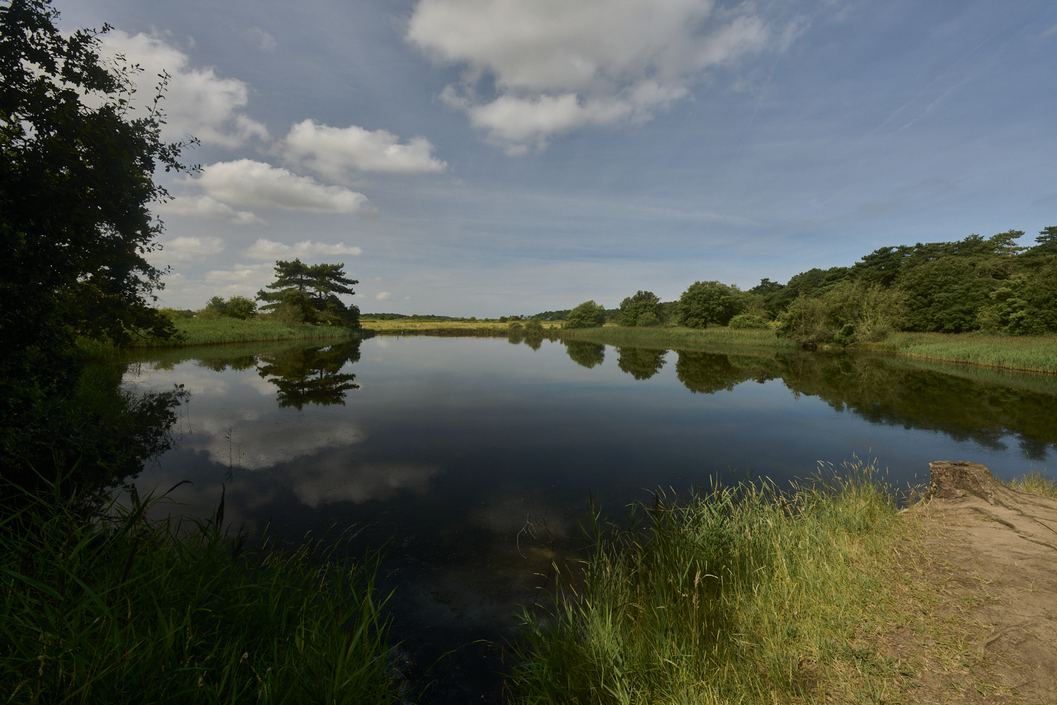 Holkham130824-1