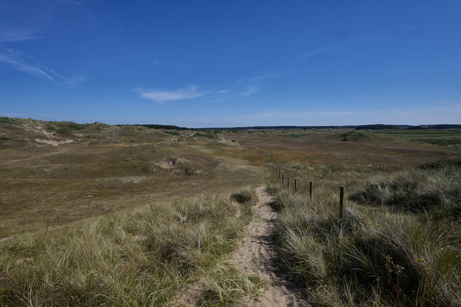 Holkham130824-10