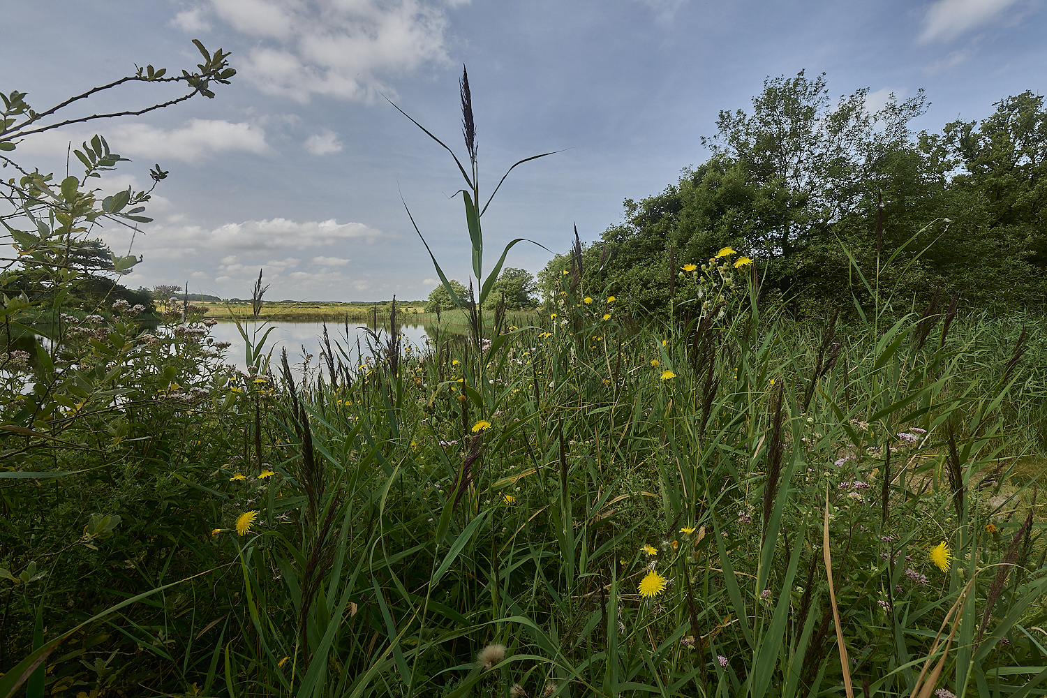 Holkham130824-2