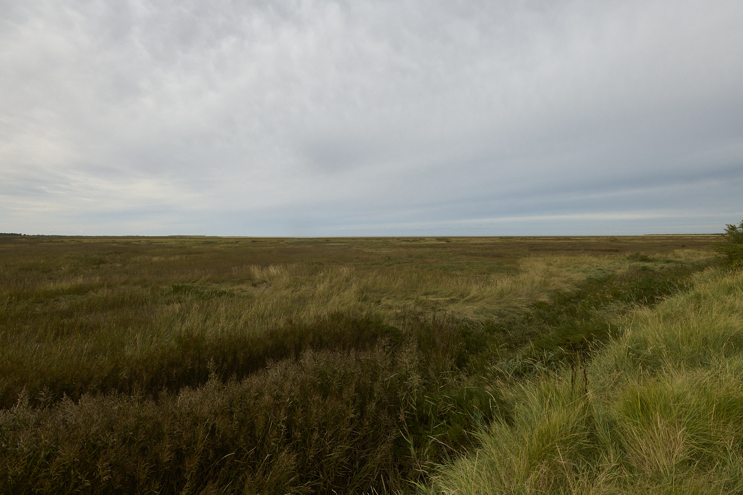 Thornham290924-5