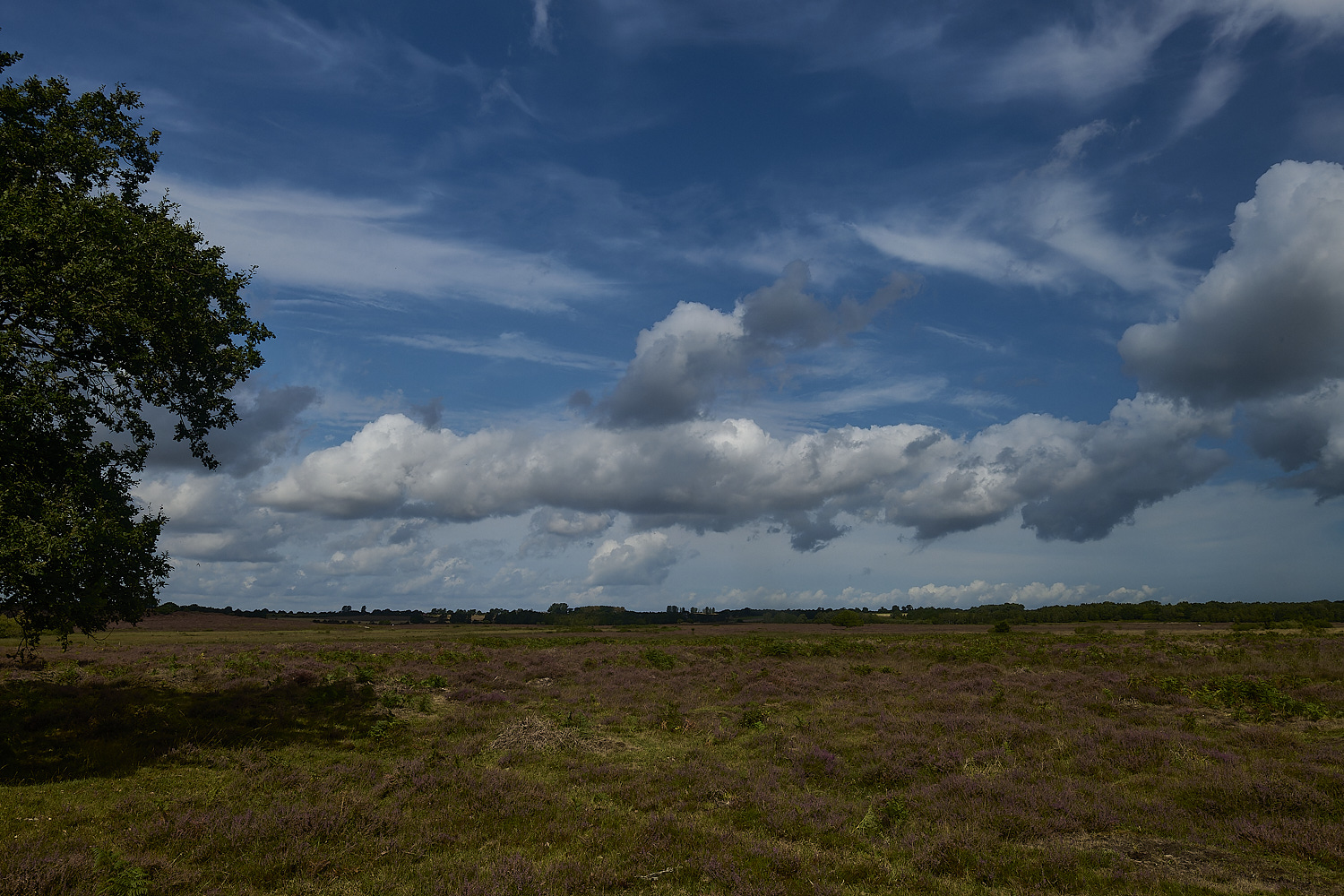 GrimstonWarren280824-6