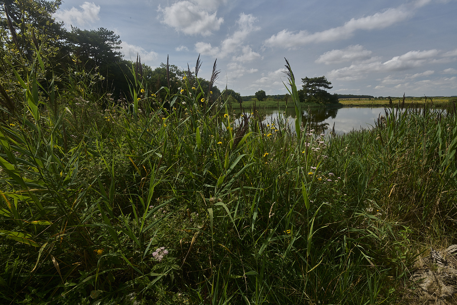 Holkham130824-3