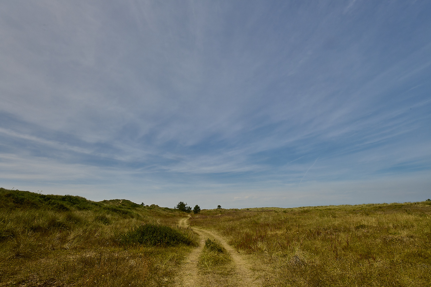 Holkham130824-5