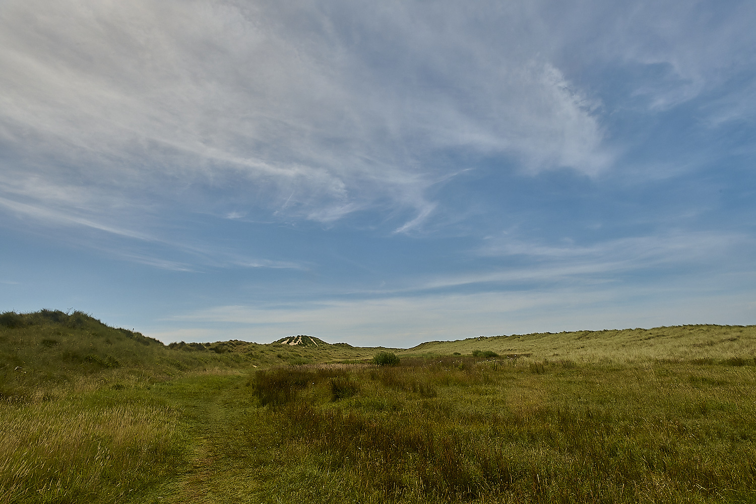 Holkham130824-6