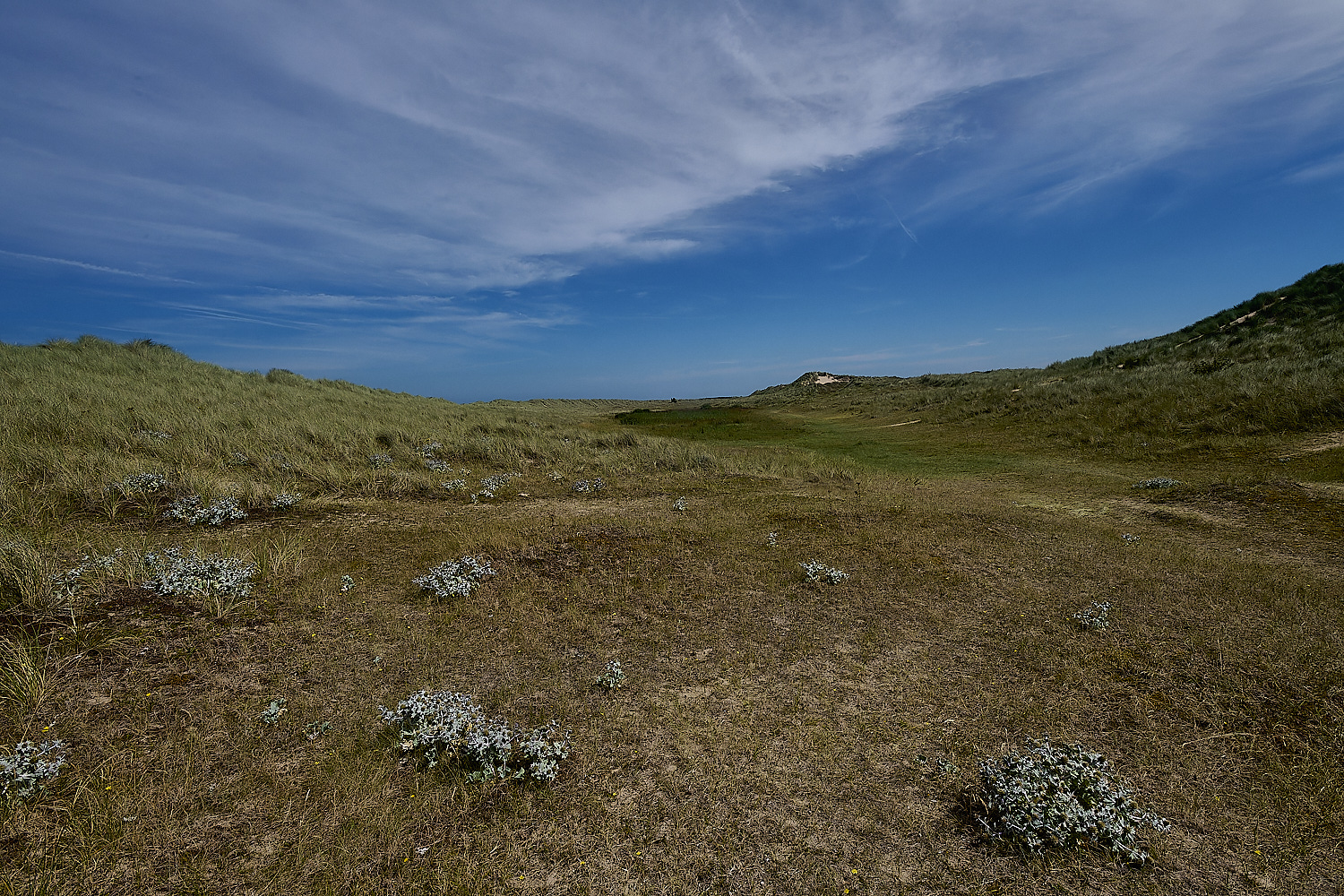 Holkham130824-7