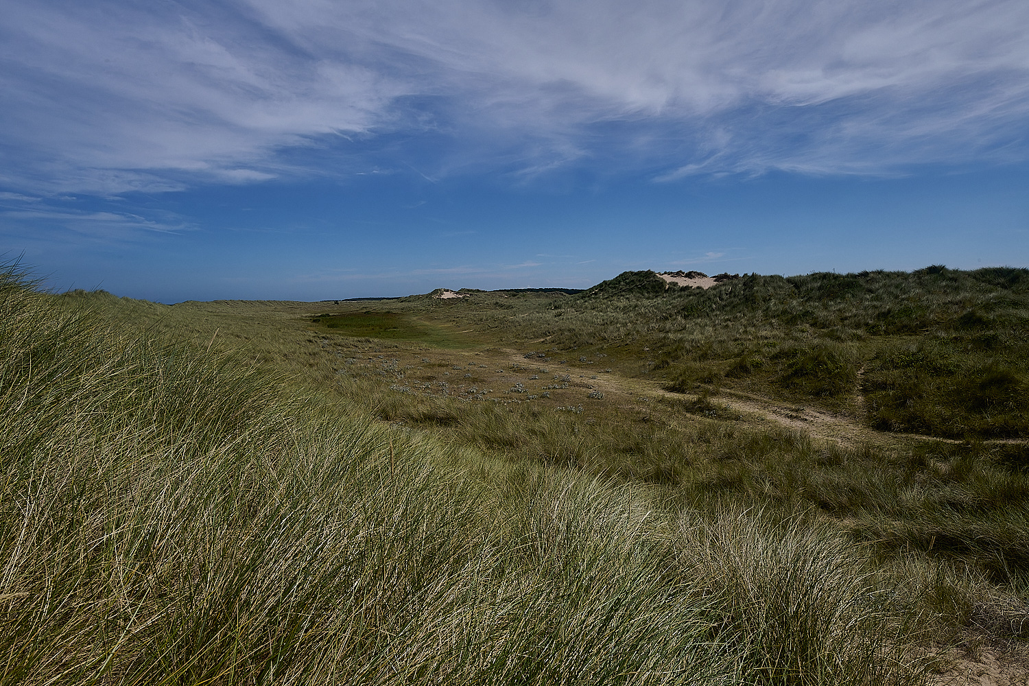 Holkham130824-8