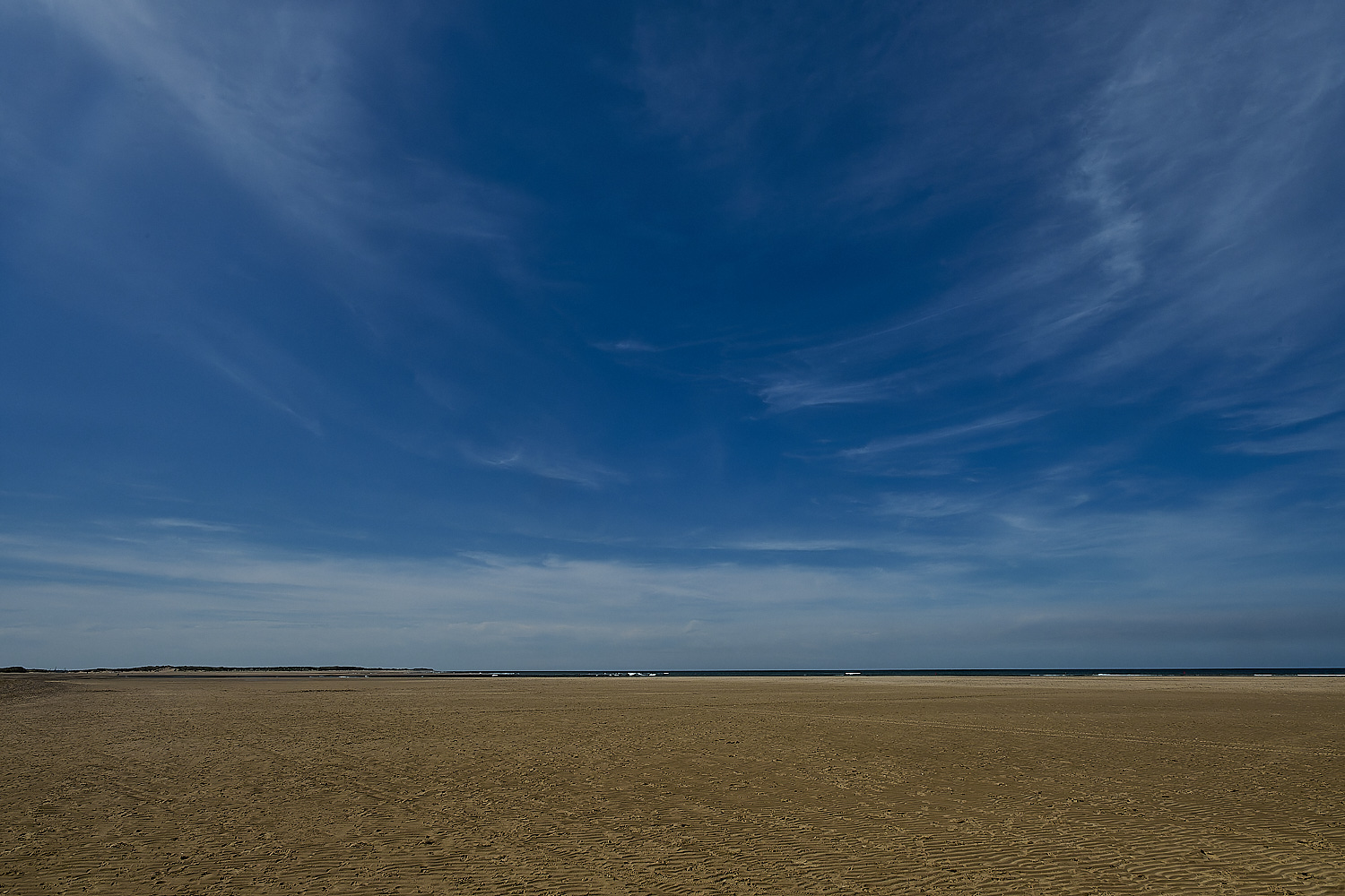 Holkham130824-9