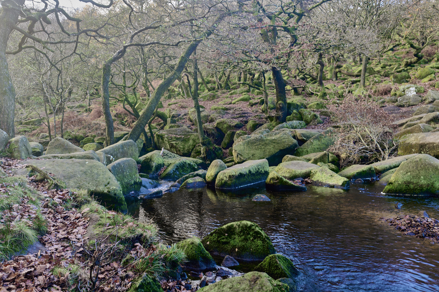 PadleyGorge141124-3