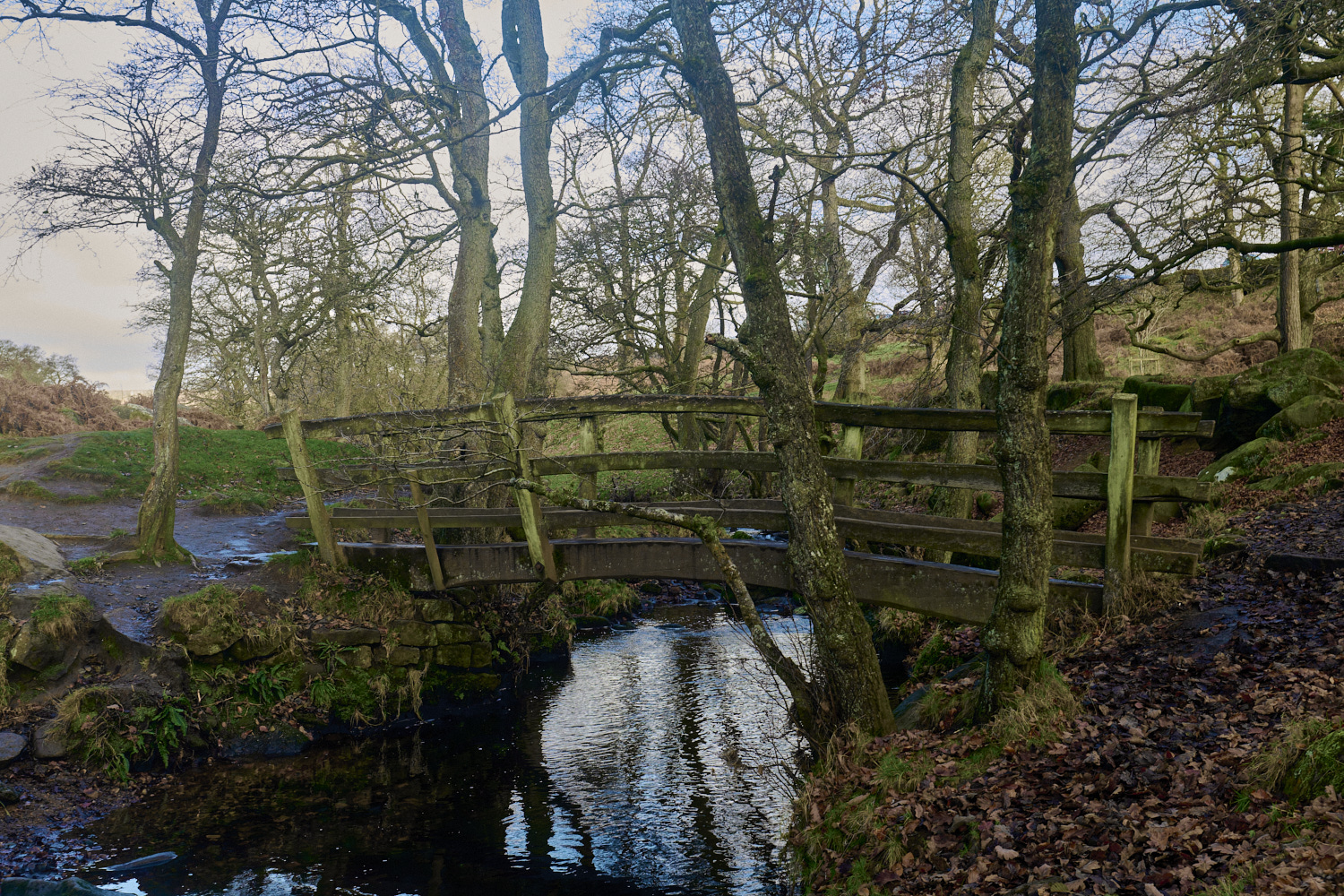 PadleyGorge141124-4