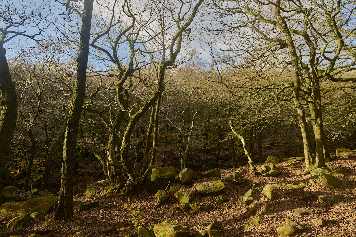 PadleyGorge141124-5