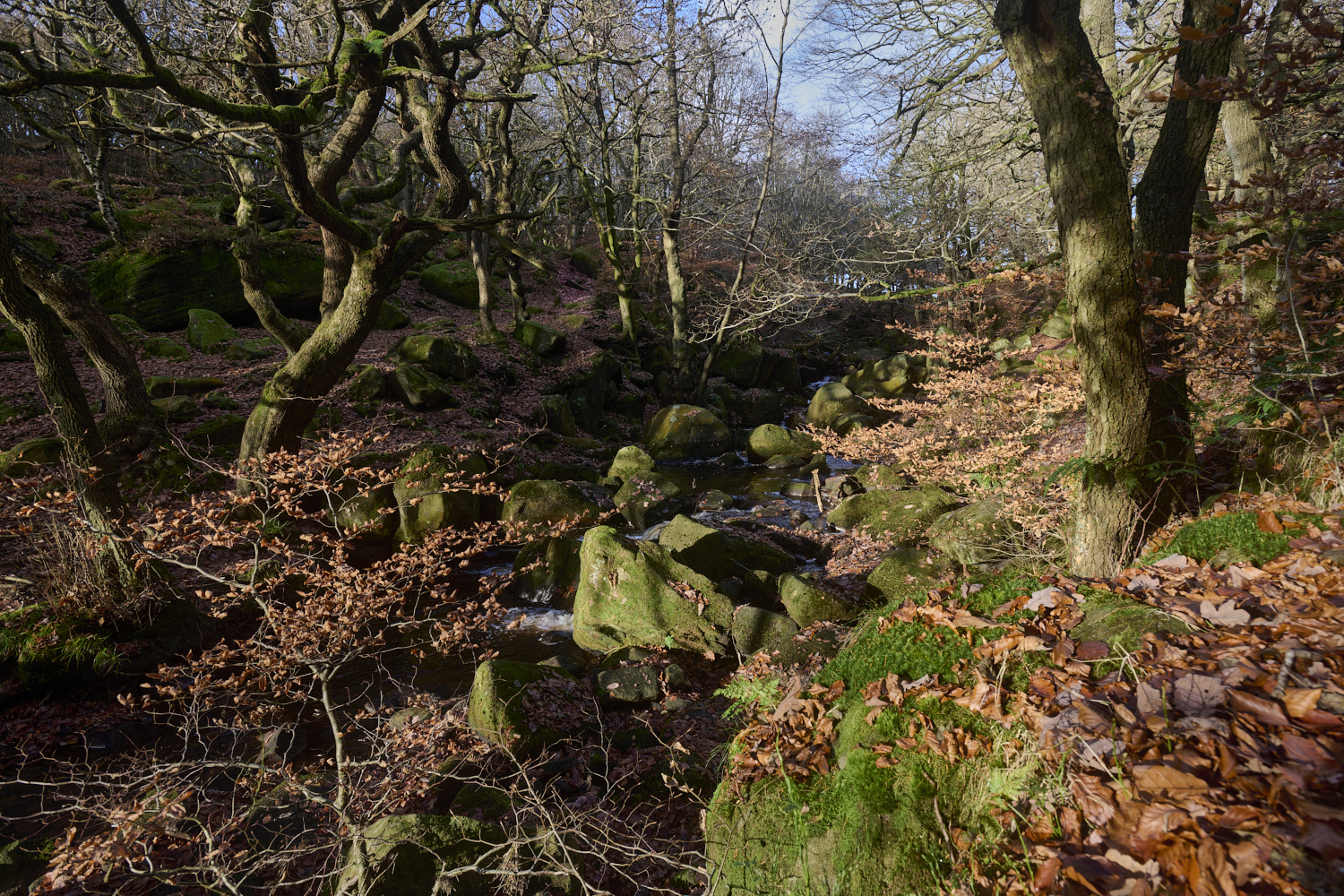 PadleyGorge141124-8