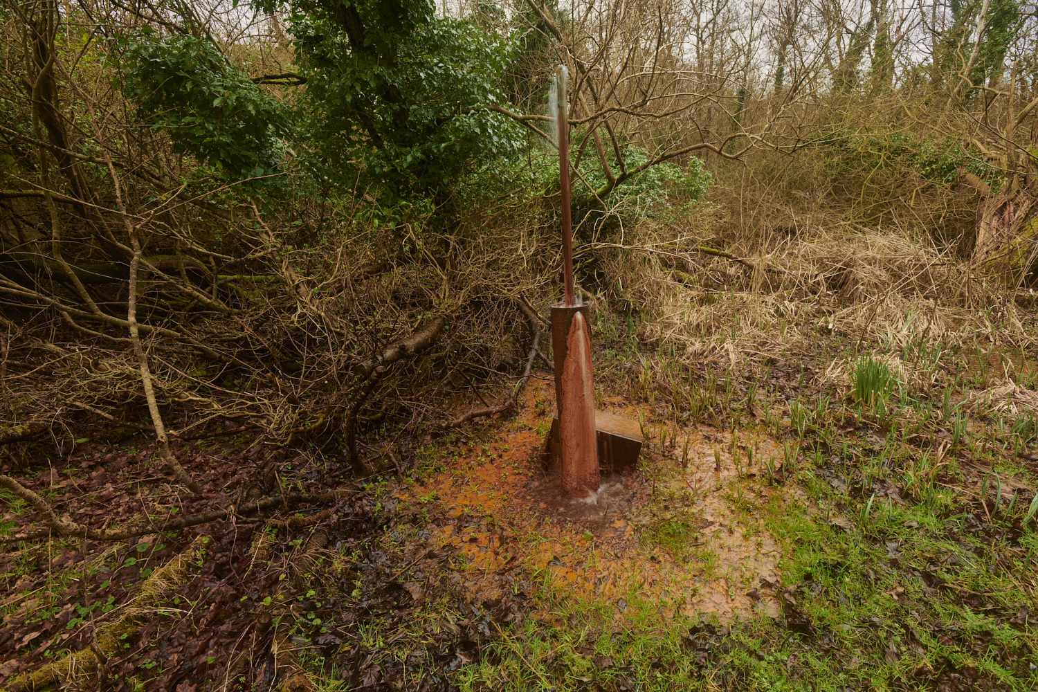 SmallburghFenBorehole110224-1