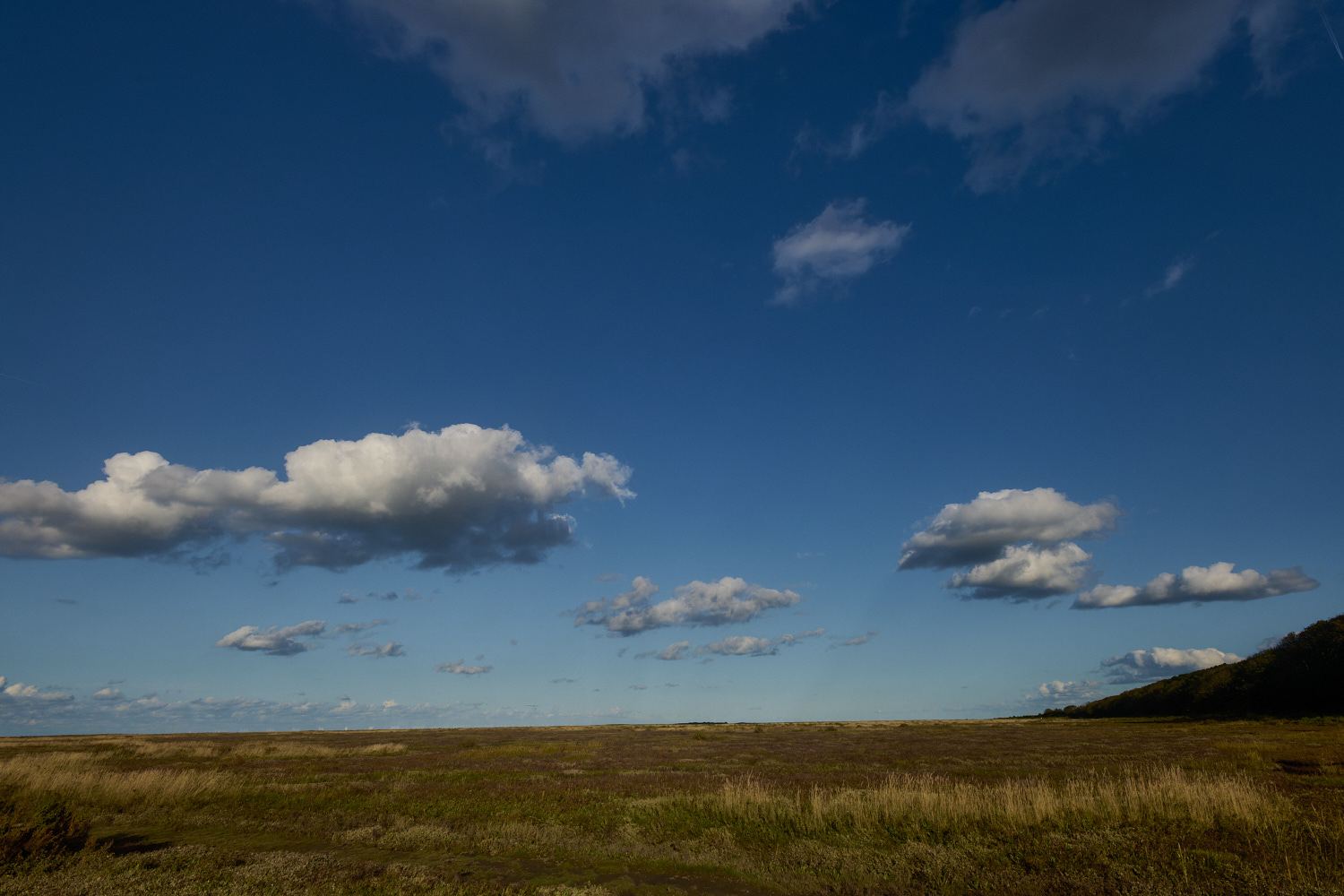 Stiffkey111024-2