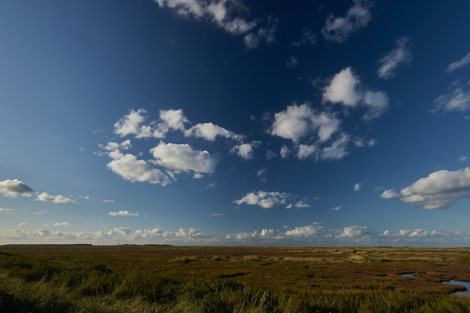 Stiffkey111024-3