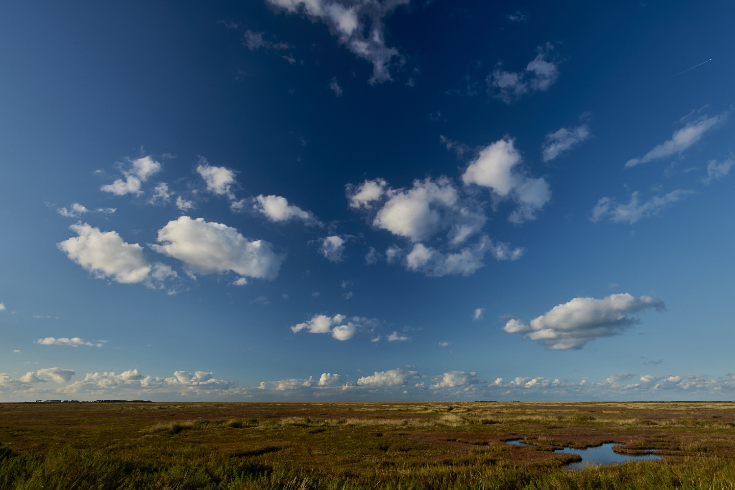 Stiffkey111024-4