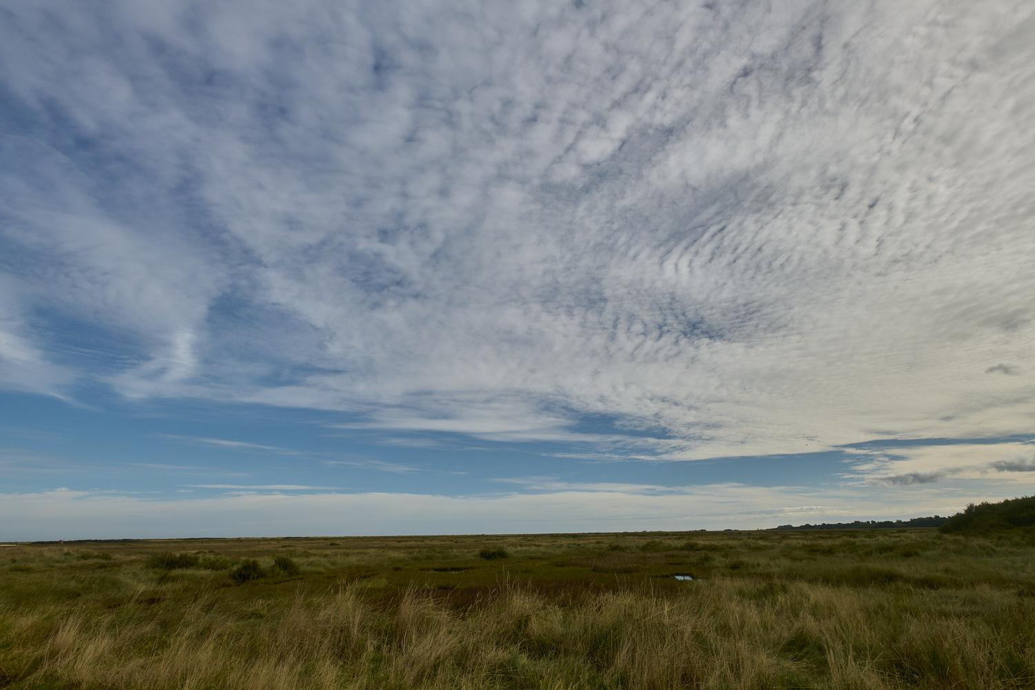 Thornham290924-1