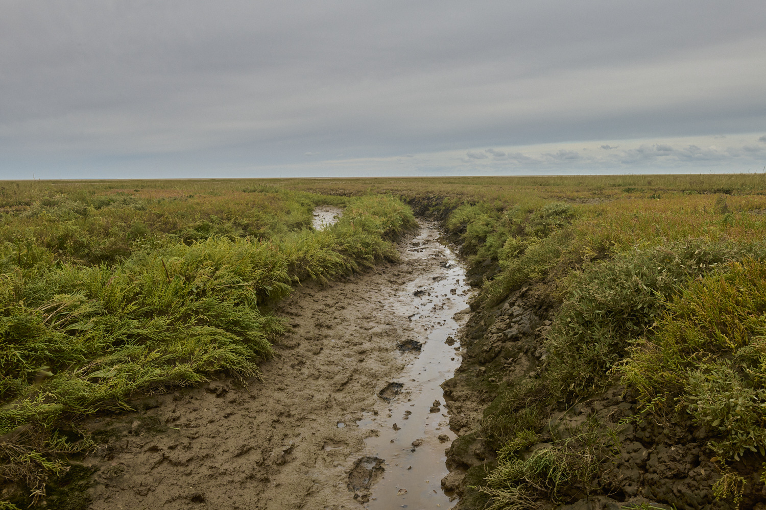 Thornham290924-4