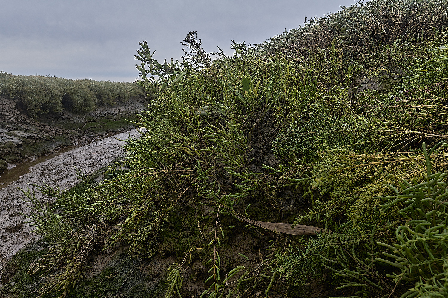 Thornham290924-6