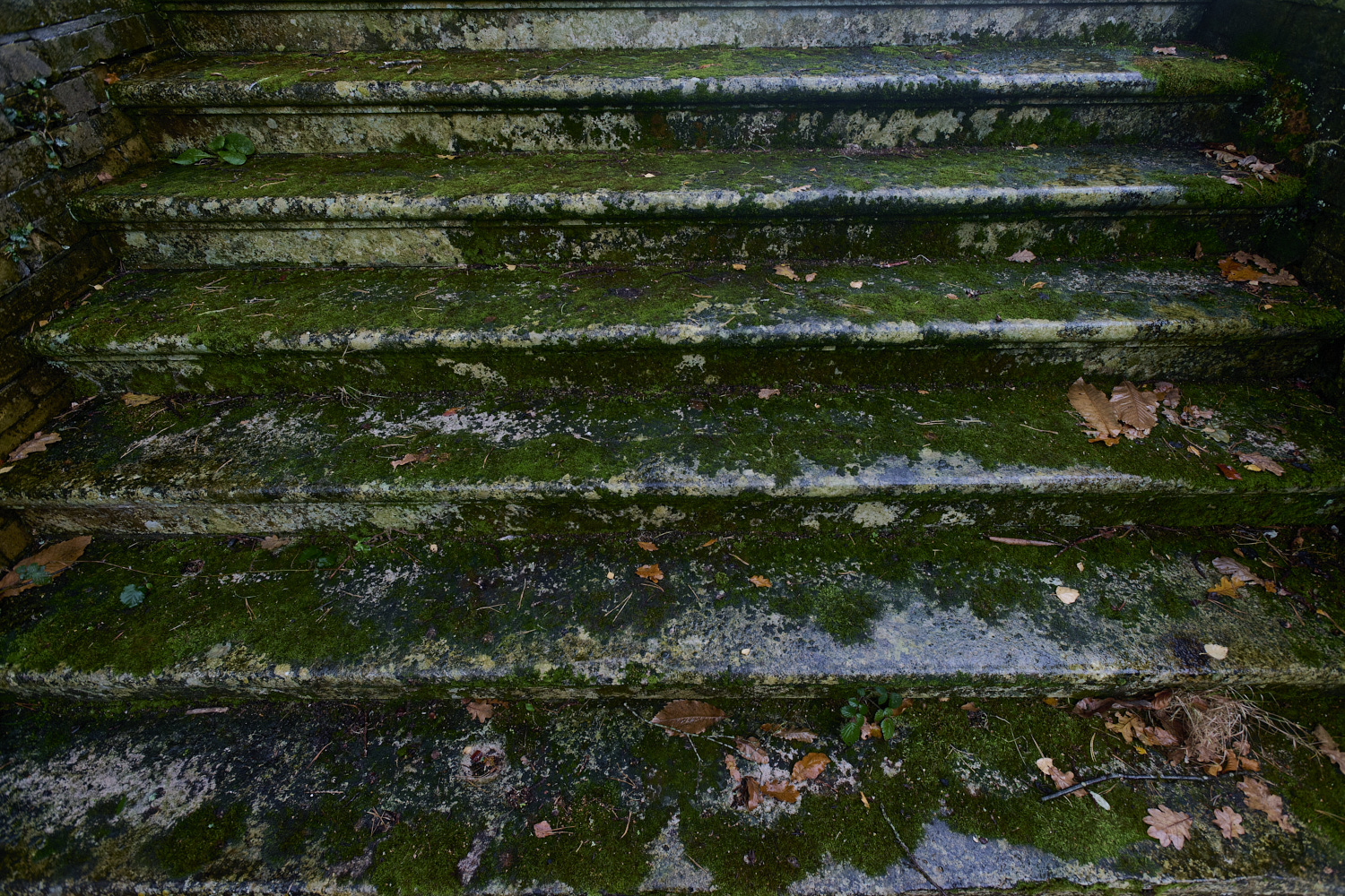 WoltertonHallSteps011224-1 1