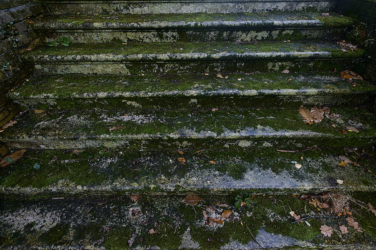 WoltertonHallSteps011224-1